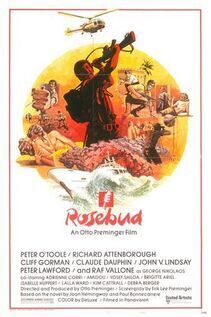 Subtitrare Rosebud (1975)