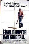Subtitrare Final Chapter: Walking Tall (1977)