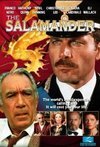 Subtitrare The Salamander (1981)