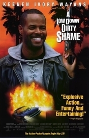 Subtitrare A Low Down Dirty Shame (1994)