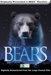 Subtitrare Imax-Bears (2001)