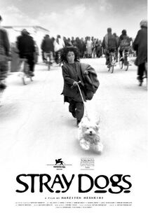 Subtitrare Sag-haye velgard (Stray Dogs) (2004)