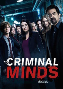 Subtitrare Criminal Minds - Sezonul 14 (2005)