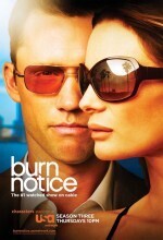 Subtitrare Burn Notice - Sezonul 1 (2007)