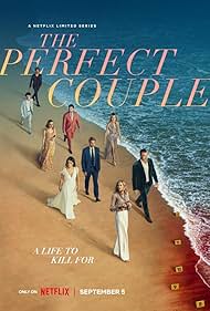 Subtitrare The Perfect Couple - Sezonul 1 (2024)