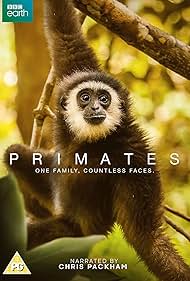 Subtitrare  Primates - Sezonul 1 (2020)