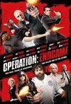 Subtitrare Operation Endgame (2010)
