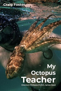 Subtitrare My Octopus Teacher (2020)