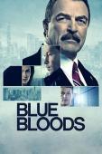 Subtitrare Blue Bloods - Sezonul 4 (2013)