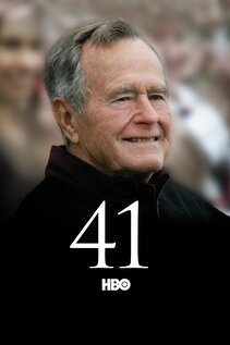 Subtitrare 41 (2012)