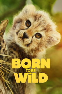 Subtitrare Born to be Wild - Sezonul 1 (2025)