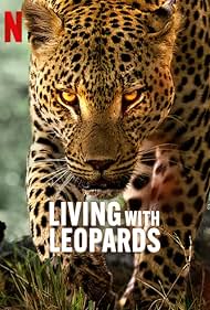 Subtitrare Living with Leopards (2024)
