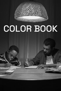 Subtitrare Color Book (2024)