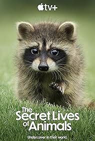 Subtitrare The Secret Lives of Animals -Sezonul 1 (2024)