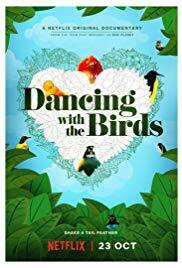 Subtitrare Dancing with the Birds (2019)