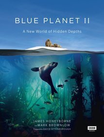 Subtitrare Blue Planet II (2017)