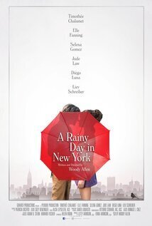 Subtitrare A Rainy Day in New York (2019)