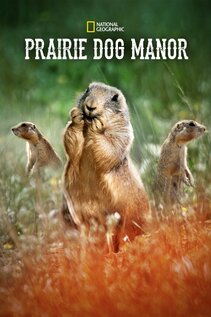 Subtitrare  Prairie Dog Manor - Sezonul 1 (2019)